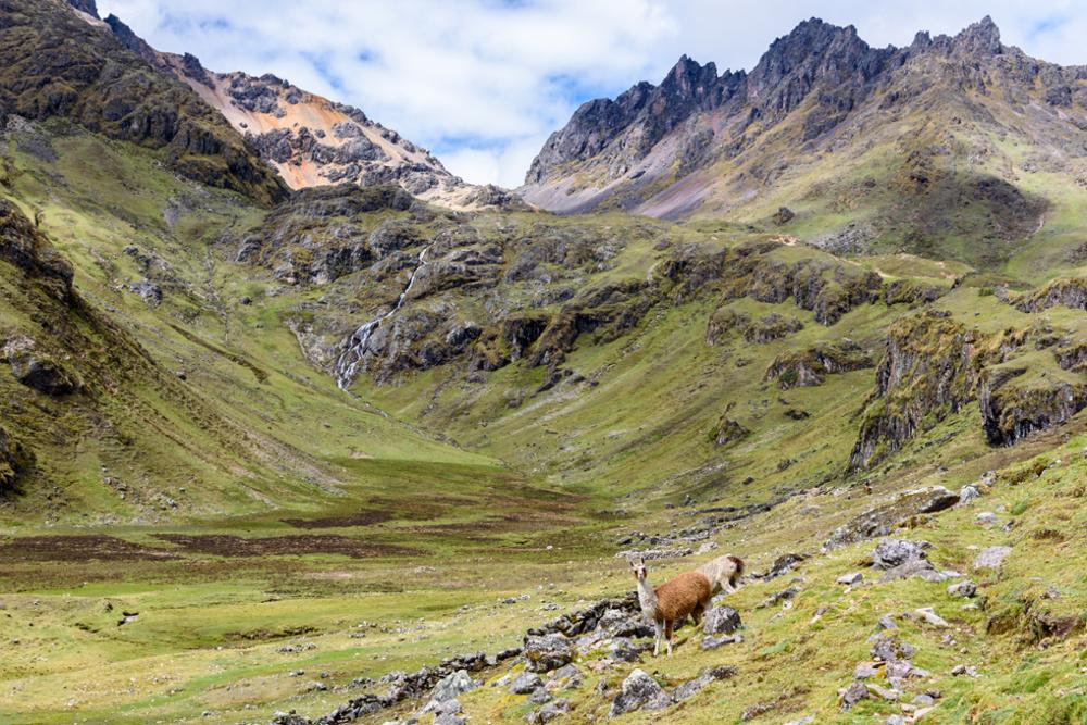 Randonnée Machu Picchu : 5 treks pour atteindre l'ancienne cité inca !